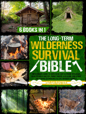 cover image of The Long-Term Wilderness Survival Bible